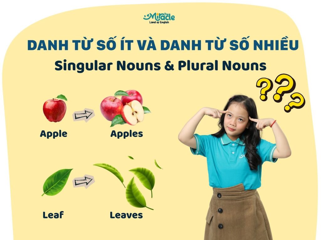 DANH TỪ SỐ ÍT VÀ SỐ NHIỀU (Singular Nouns & Plural Nouns)
